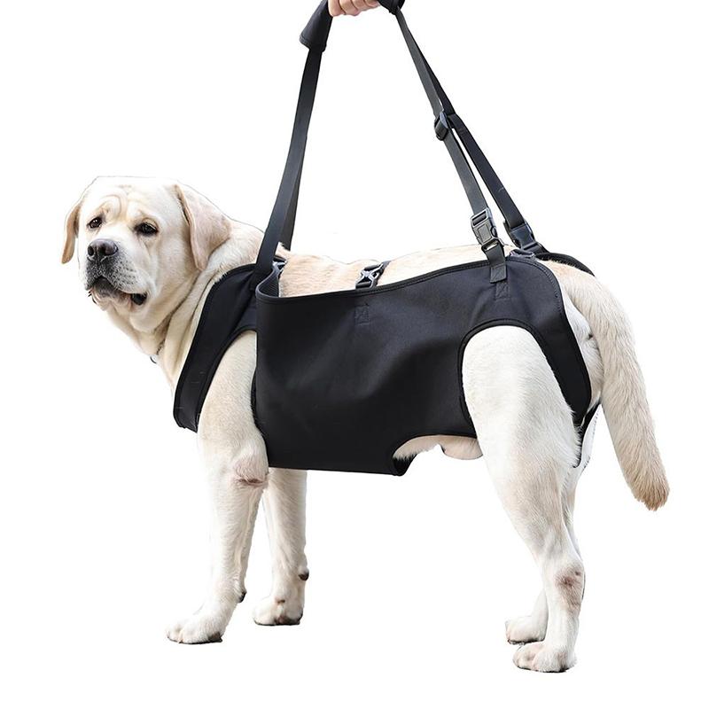 Dog Stair Assistance Leash Eld - Harness Climbing Adjustable 评论和价格